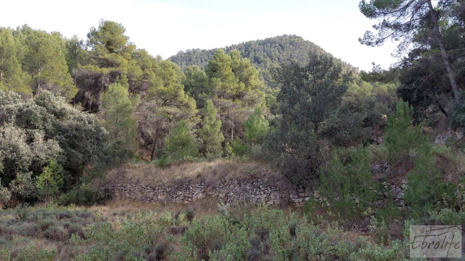 Finca/Landhuis te koop in Valderrobres - € 45.000 (Ref: 8190206)