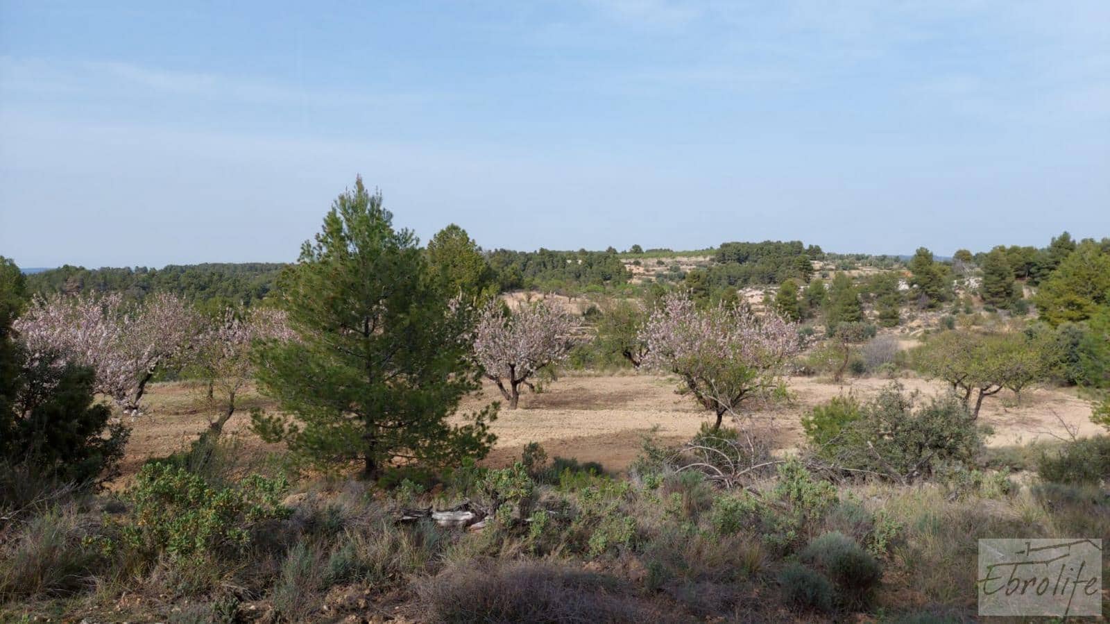 Finca/Landhuis te koop in Valderrobres - € 45.000 (Ref: 8190206)