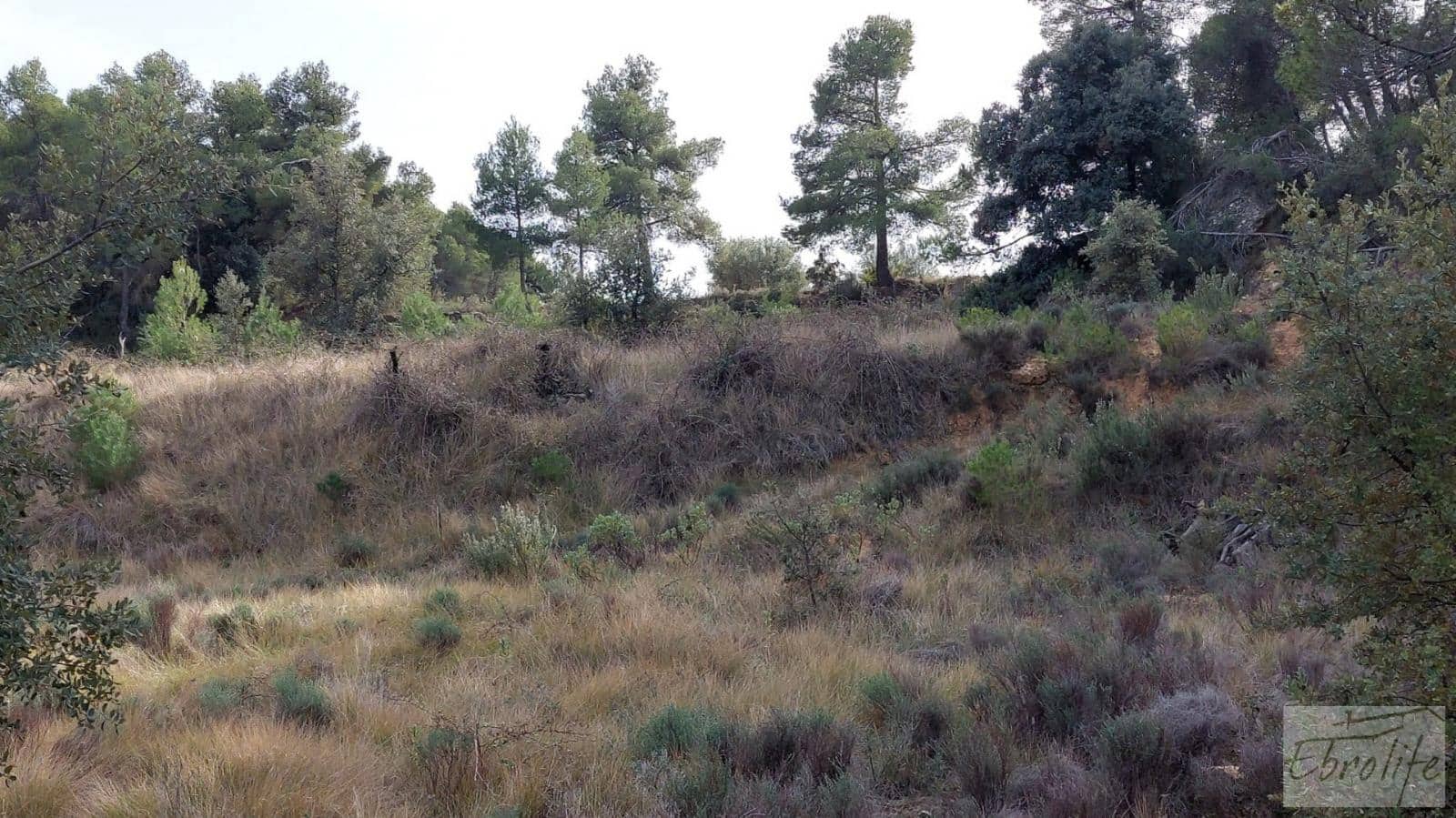 Finca/Landhuis te koop in Valderrobres - € 45.000 (Ref: 8190206)