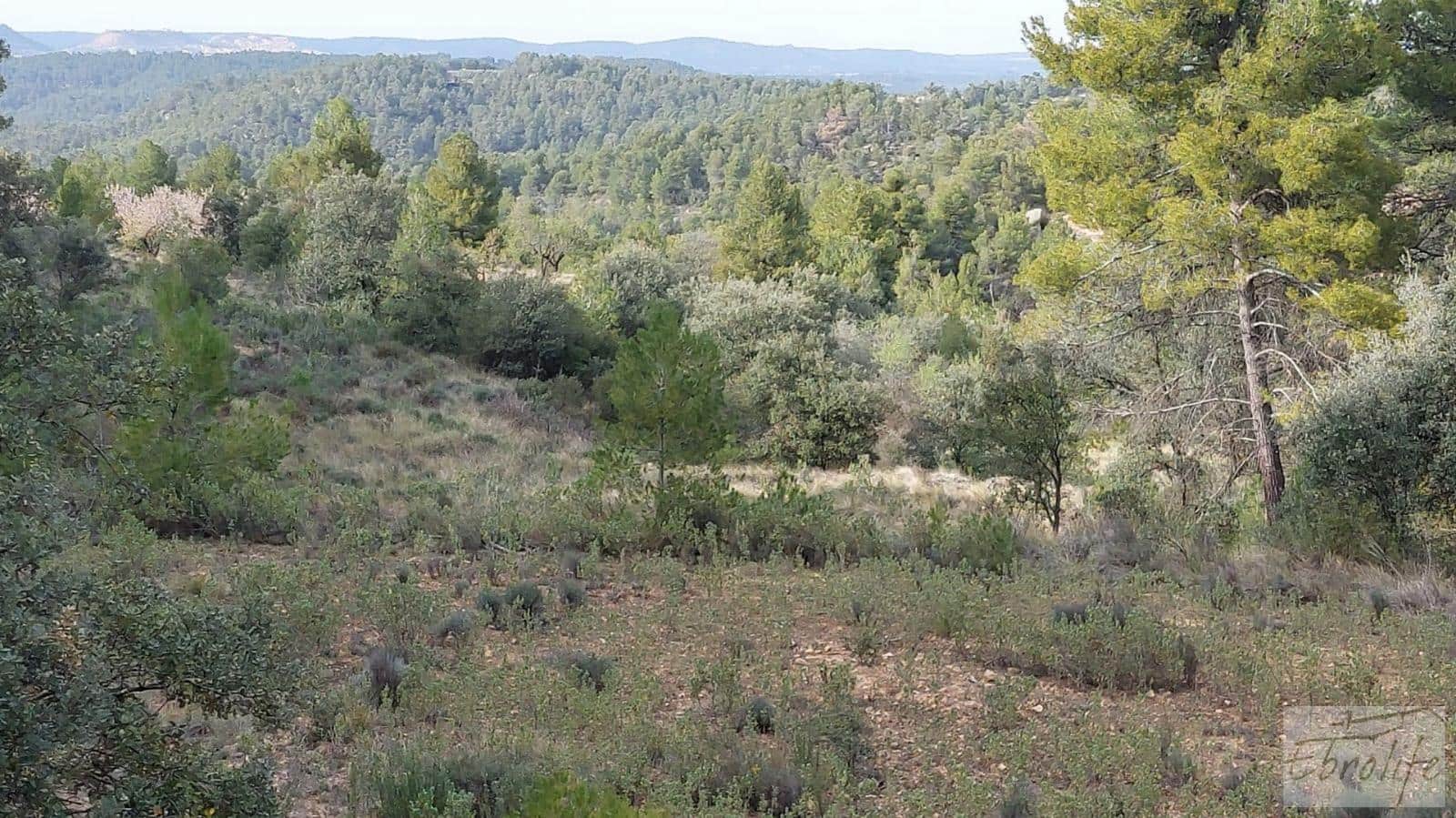 Finca/Landhuis te koop in Valderrobres - € 45.000 (Ref: 8190206)