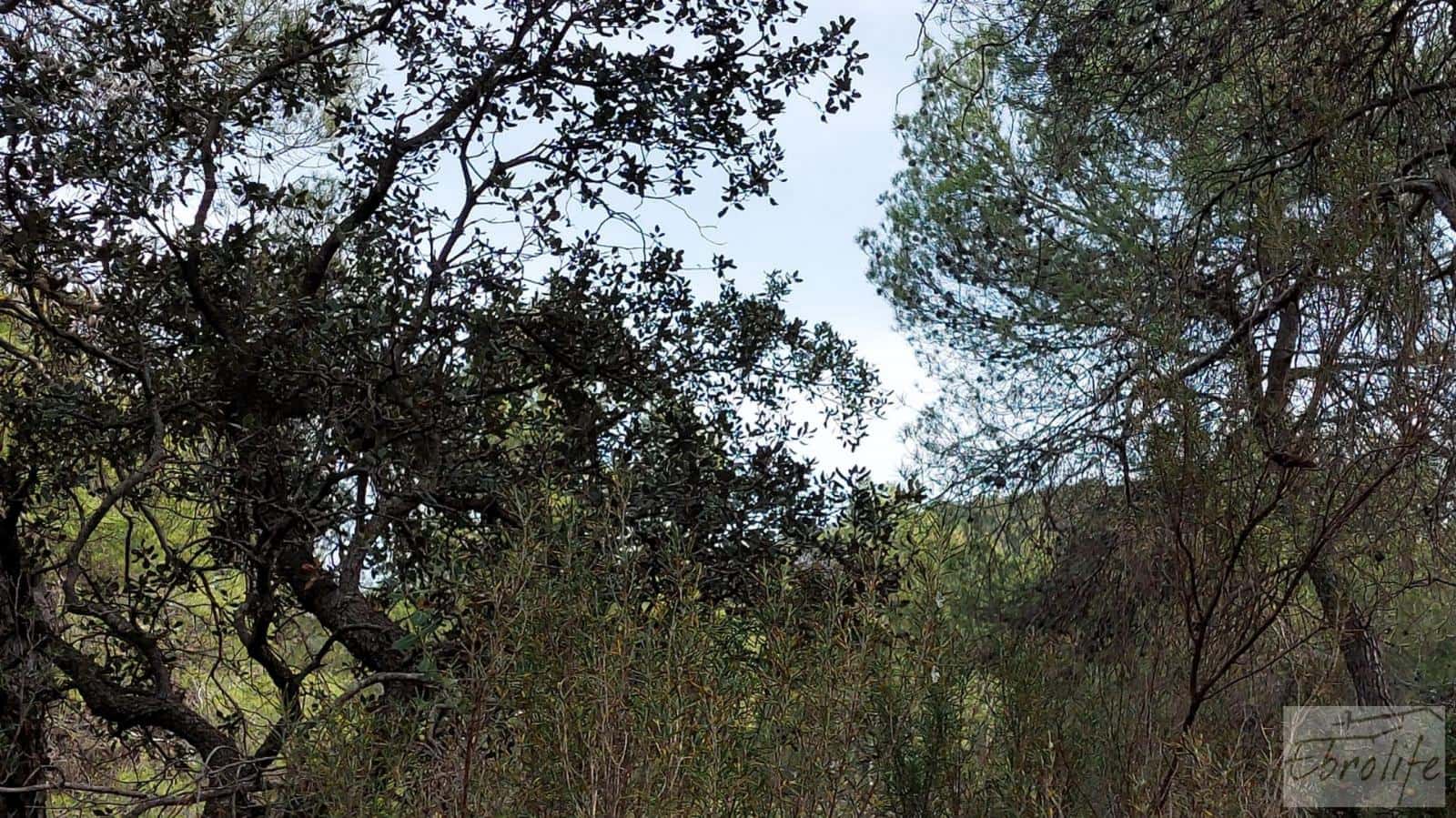 Finca/Landhuis te koop in Valderrobres - € 45.000 (Ref: 8190206)