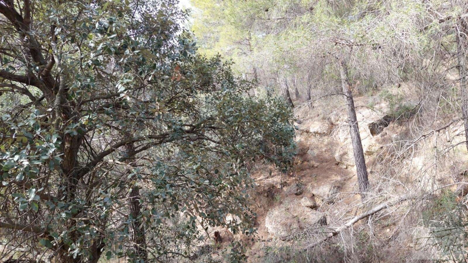 Finca/Landhuis te koop in Valderrobres - € 45.000 (Ref: 8190206)