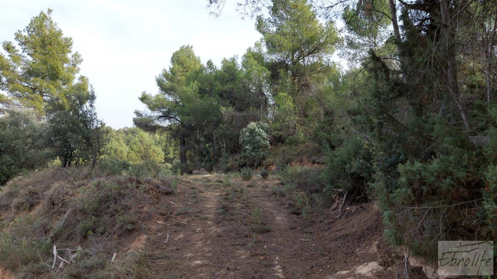Finca/Landhuis te koop in Valderrobres - € 45.000 (Ref: 8190206)