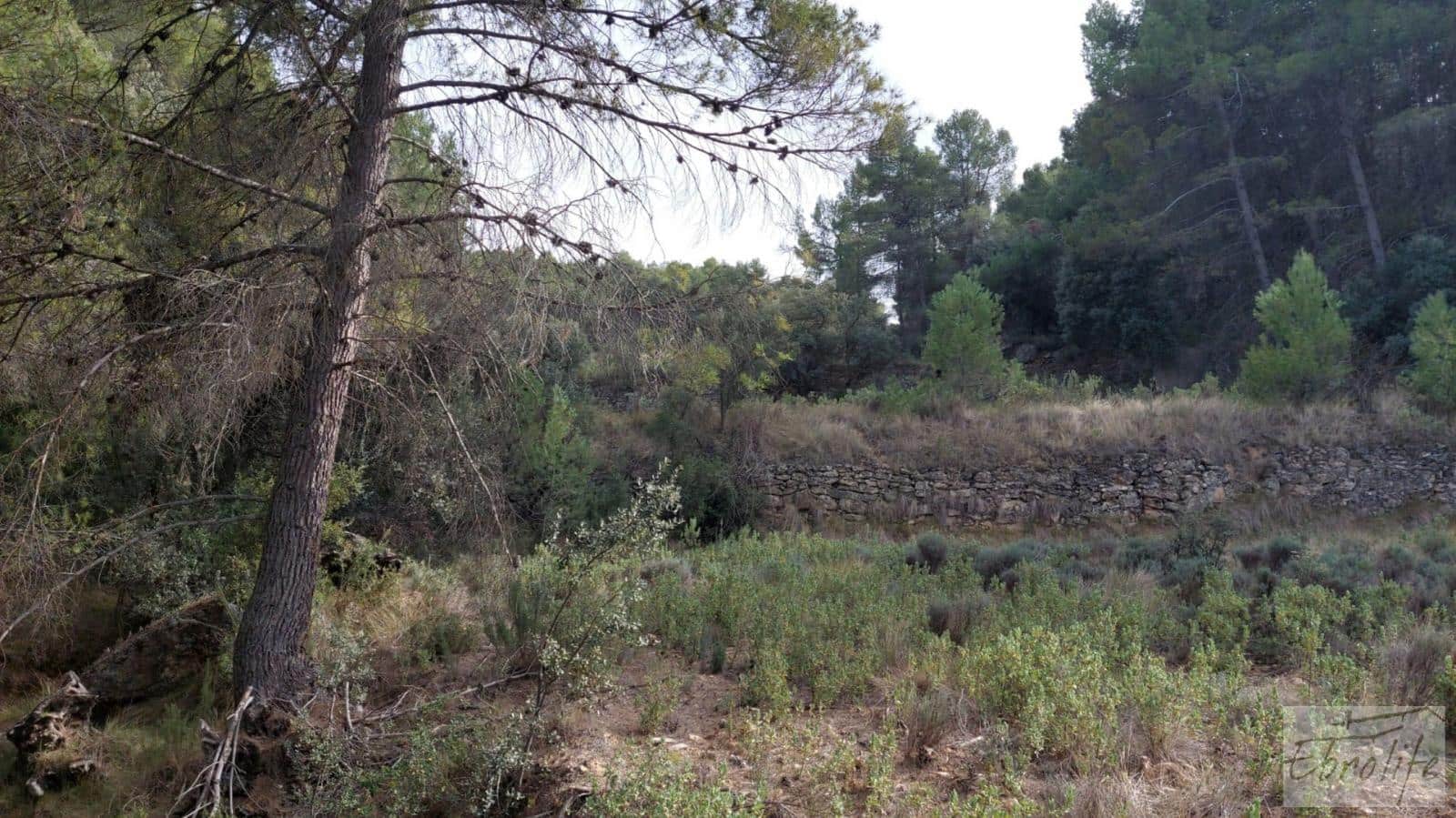 Finca/Landhuis te koop in Valderrobres - € 45.000 (Ref: 8190206)