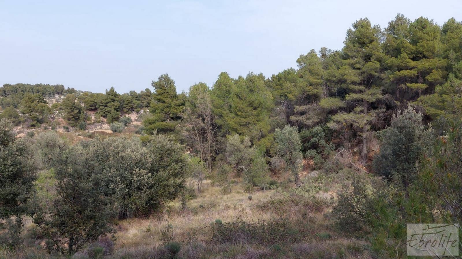 Finca/Landhuis te koop in Valderrobres - € 45.000 (Ref: 8190206)