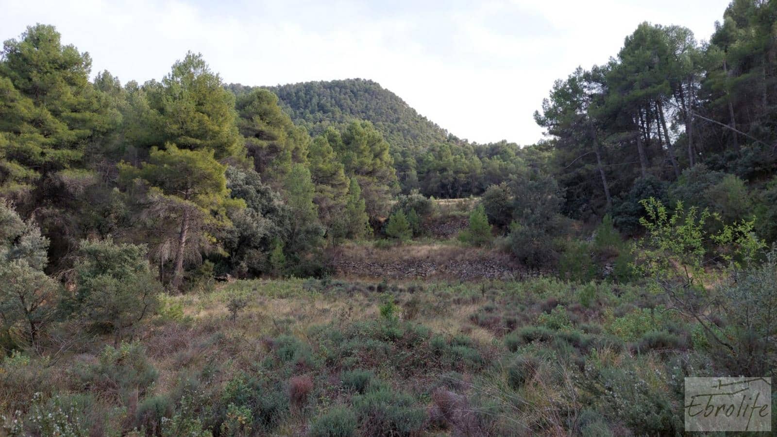 Finca/Landhuis te koop in Valderrobres - € 45.000 (Ref: 8190206)