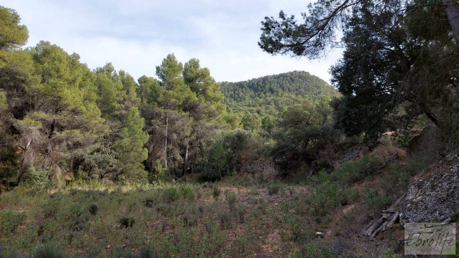 Finca/Landhuis te koop in Valderrobres - € 45.000 (Ref: 8190206)