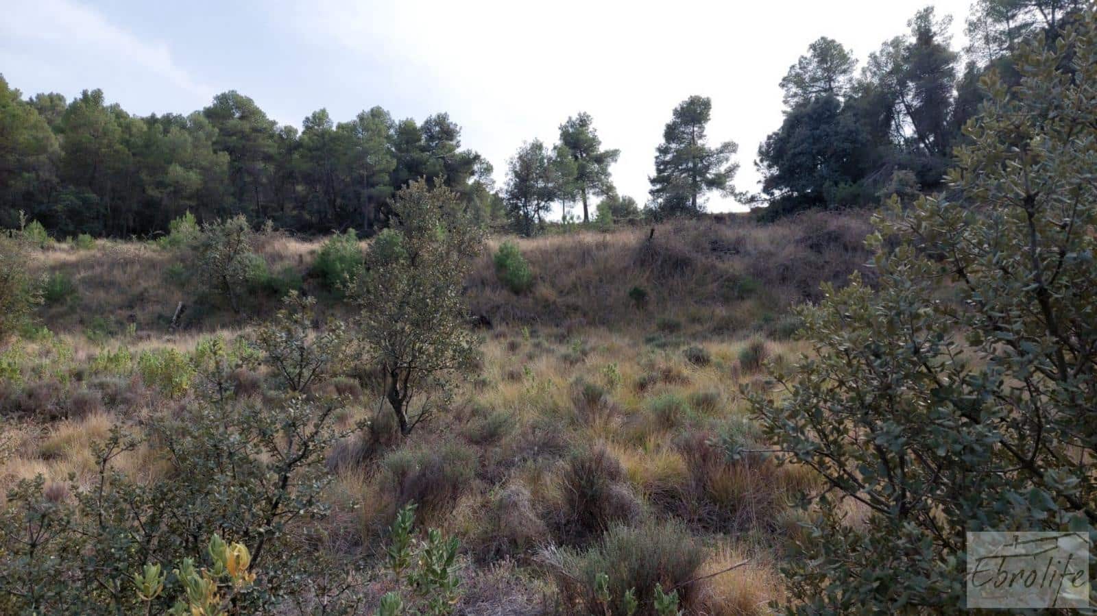 Finca/Landhuis te koop in Valderrobres - € 45.000 (Ref: 8190206)