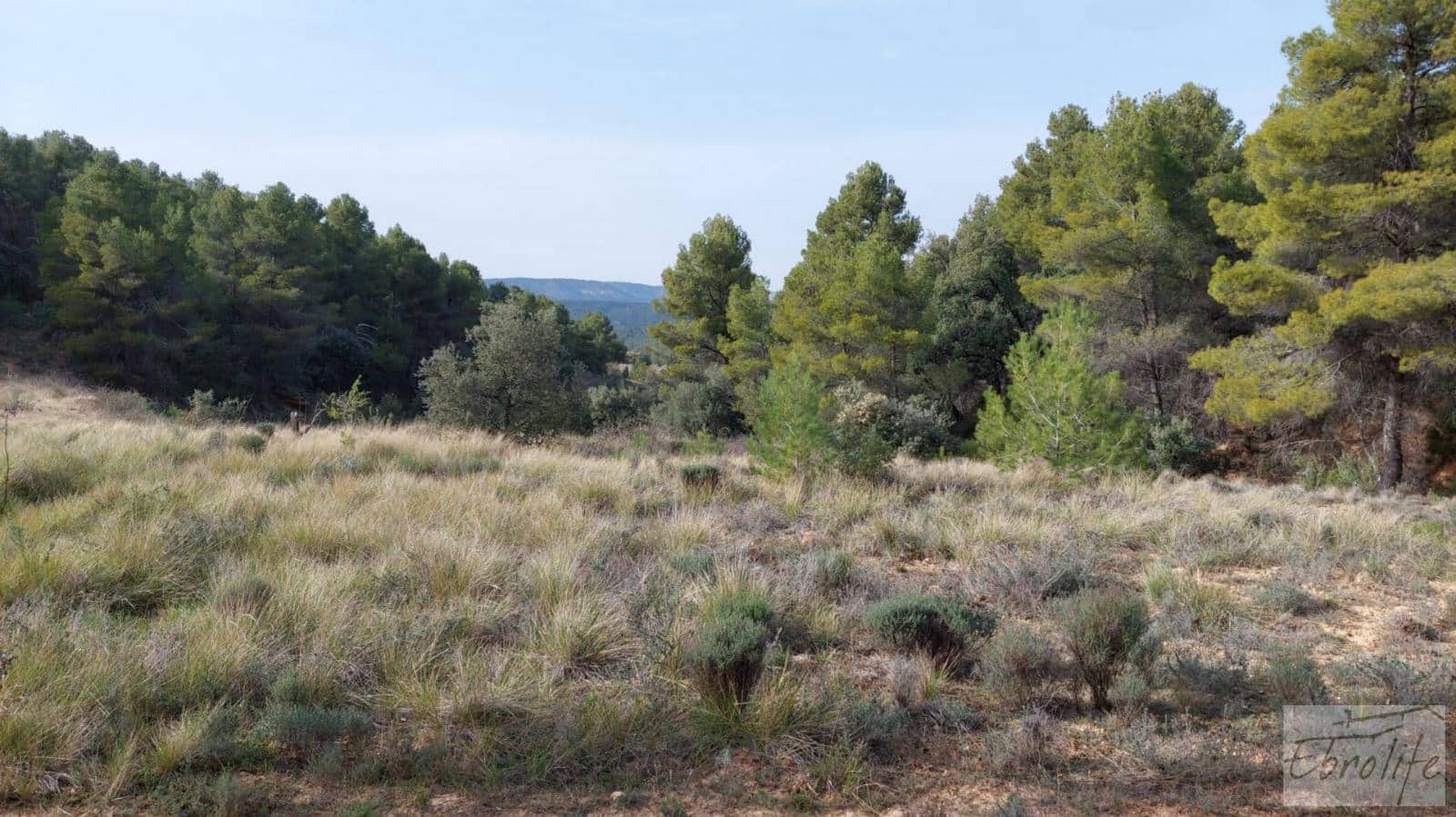 Finca/Landhuis te koop in Valderrobres - € 45.000 (Ref: 8190206)