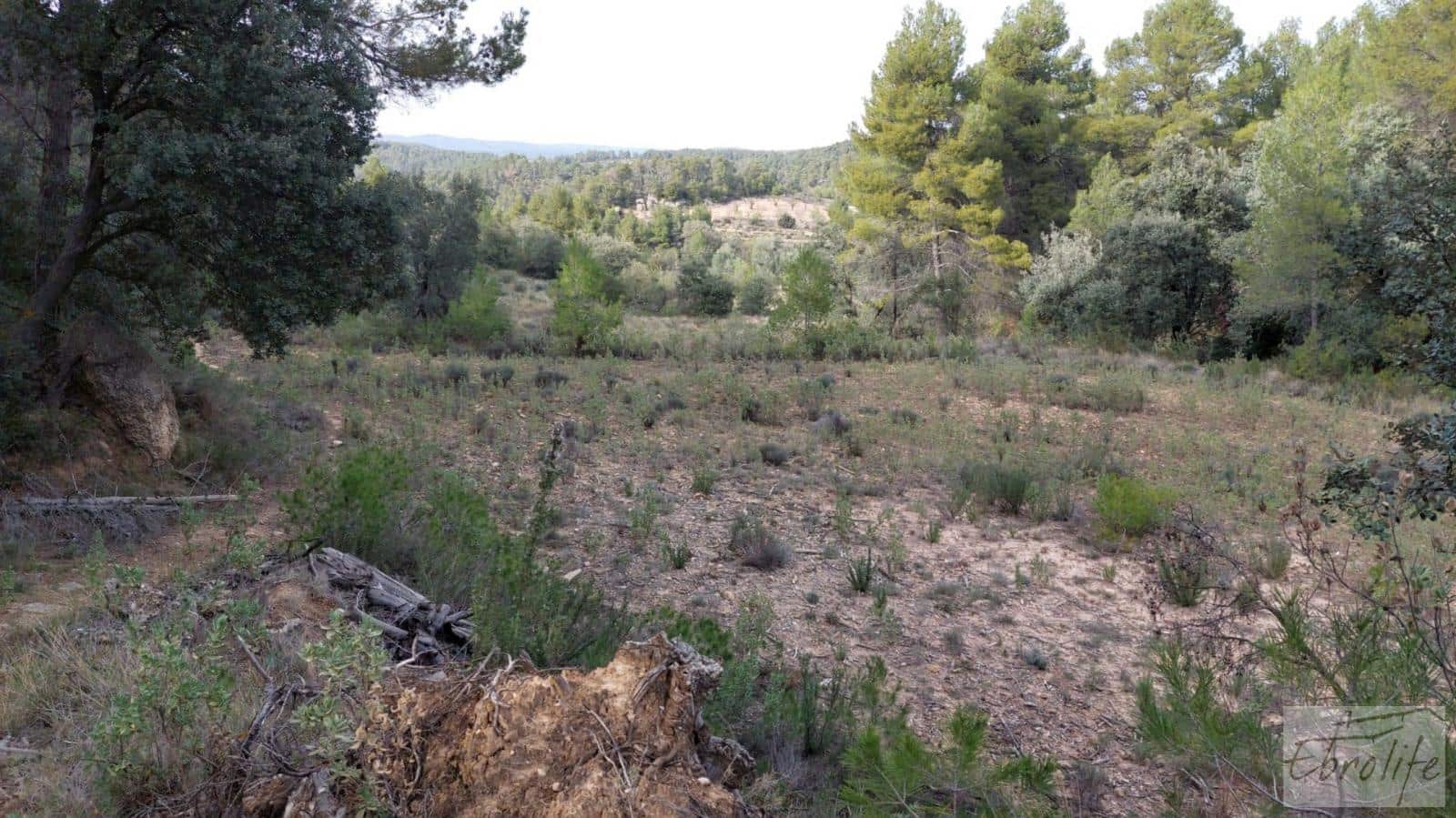 Finca/Landhuis te koop in Valderrobres - € 45.000 (Ref: 8190206)