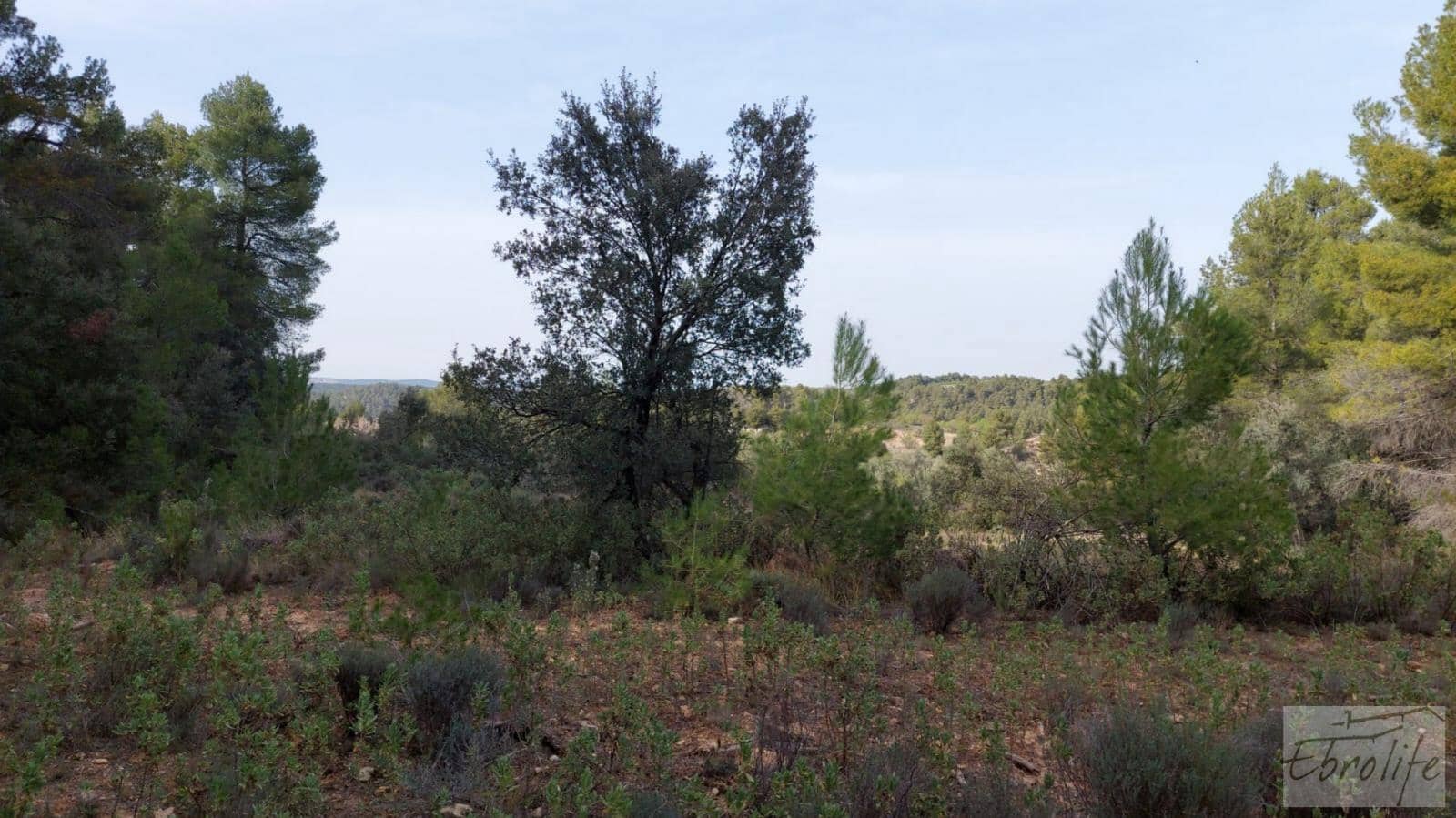 Finca/Landhuis te koop in Valderrobres - € 45.000 (Ref: 8190206)