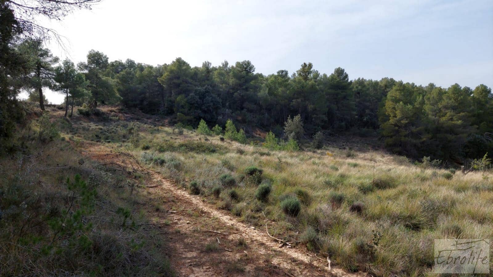 Finca/Landhuis te koop in Valderrobres - € 45.000 (Ref: 8190206)