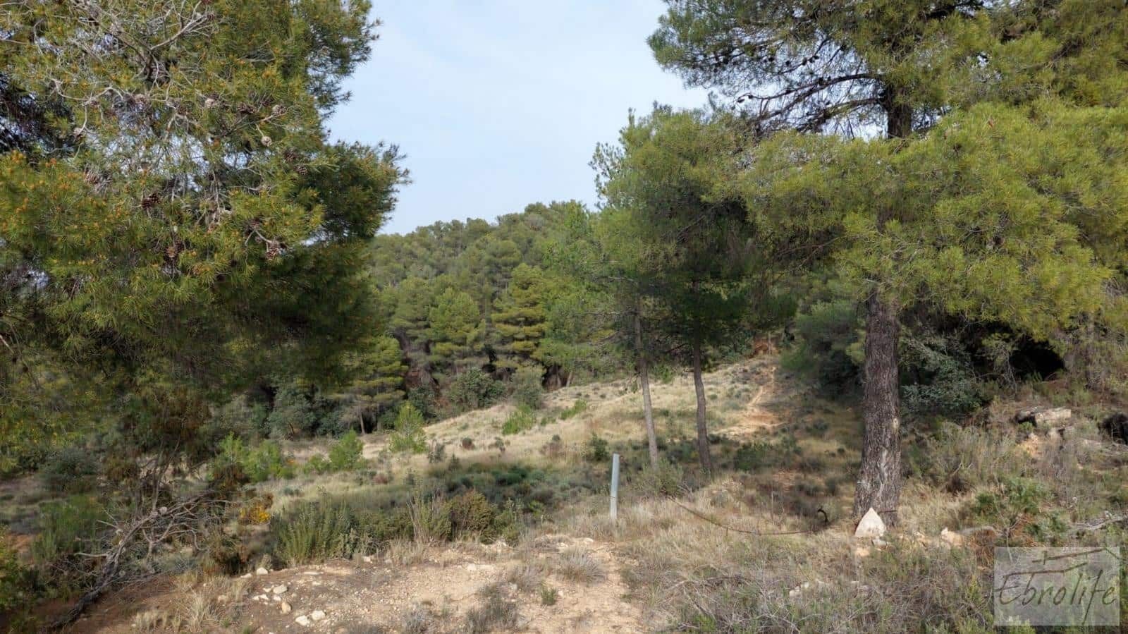 Finca/Landhuis te koop in Valderrobres - € 45.000 (Ref: 8190206)