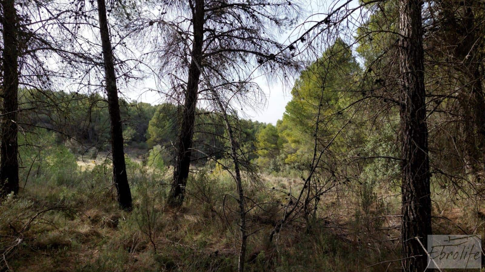 Finca/Landhuis te koop in Valderrobres - € 45.000 (Ref: 8190206)