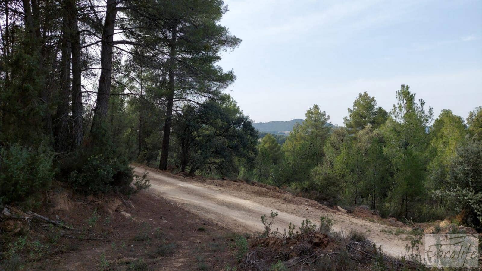 Finca/Landhuis te koop in Valderrobres - € 45.000 (Ref: 8190206)