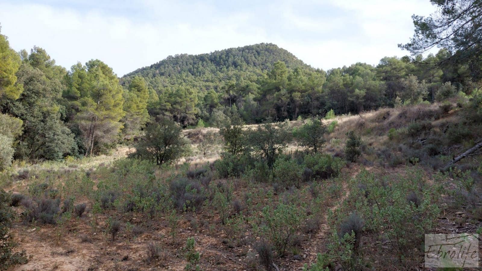 Finca/Landhuis te koop in Valderrobres - € 45.000 (Ref: 8190206)