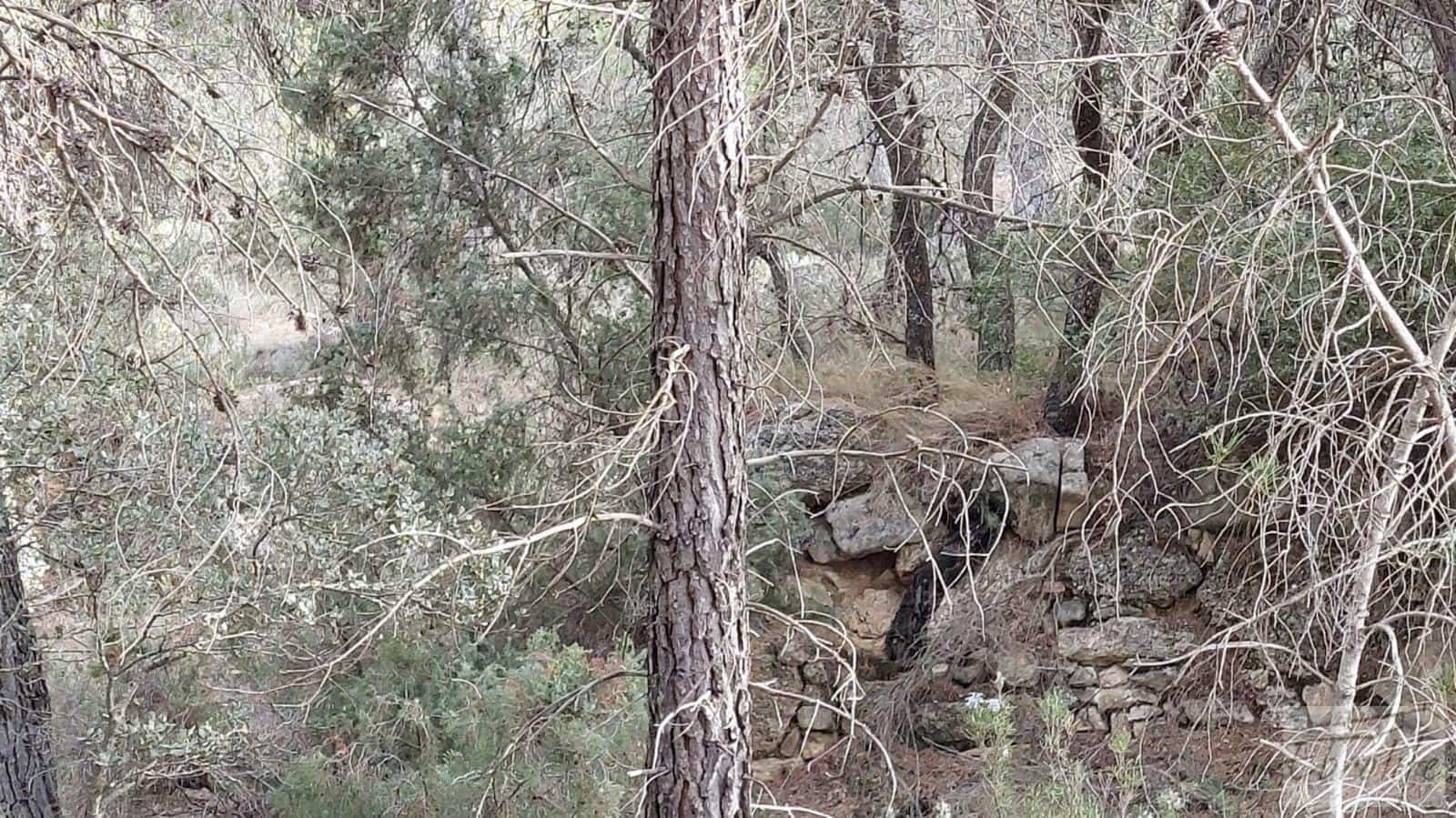 Finca/Landhuis te koop in Valderrobres - € 45.000 (Ref: 8190206)