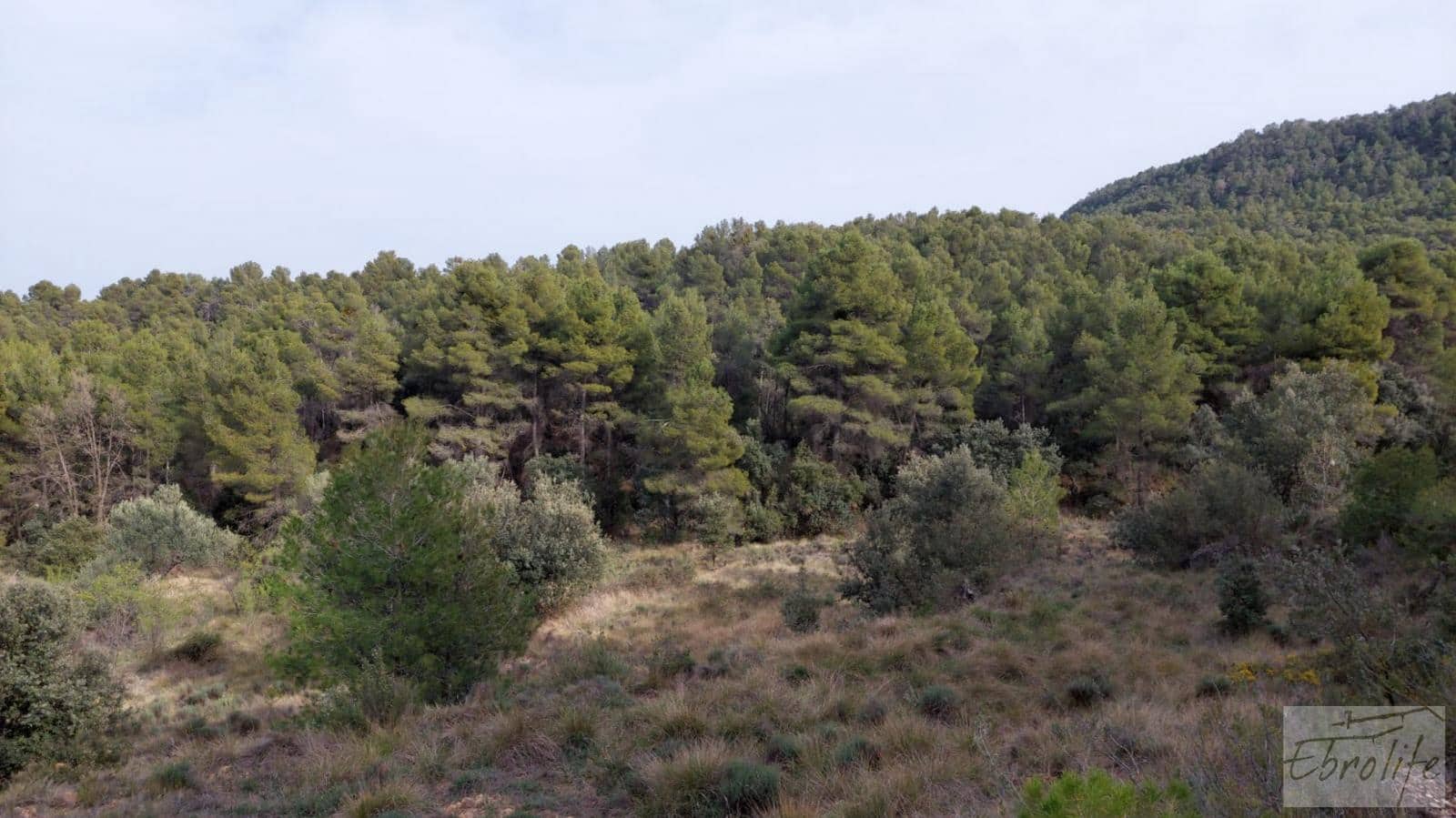 Finca/Landhuis te koop in Valderrobres - € 45.000 (Ref: 8190206)