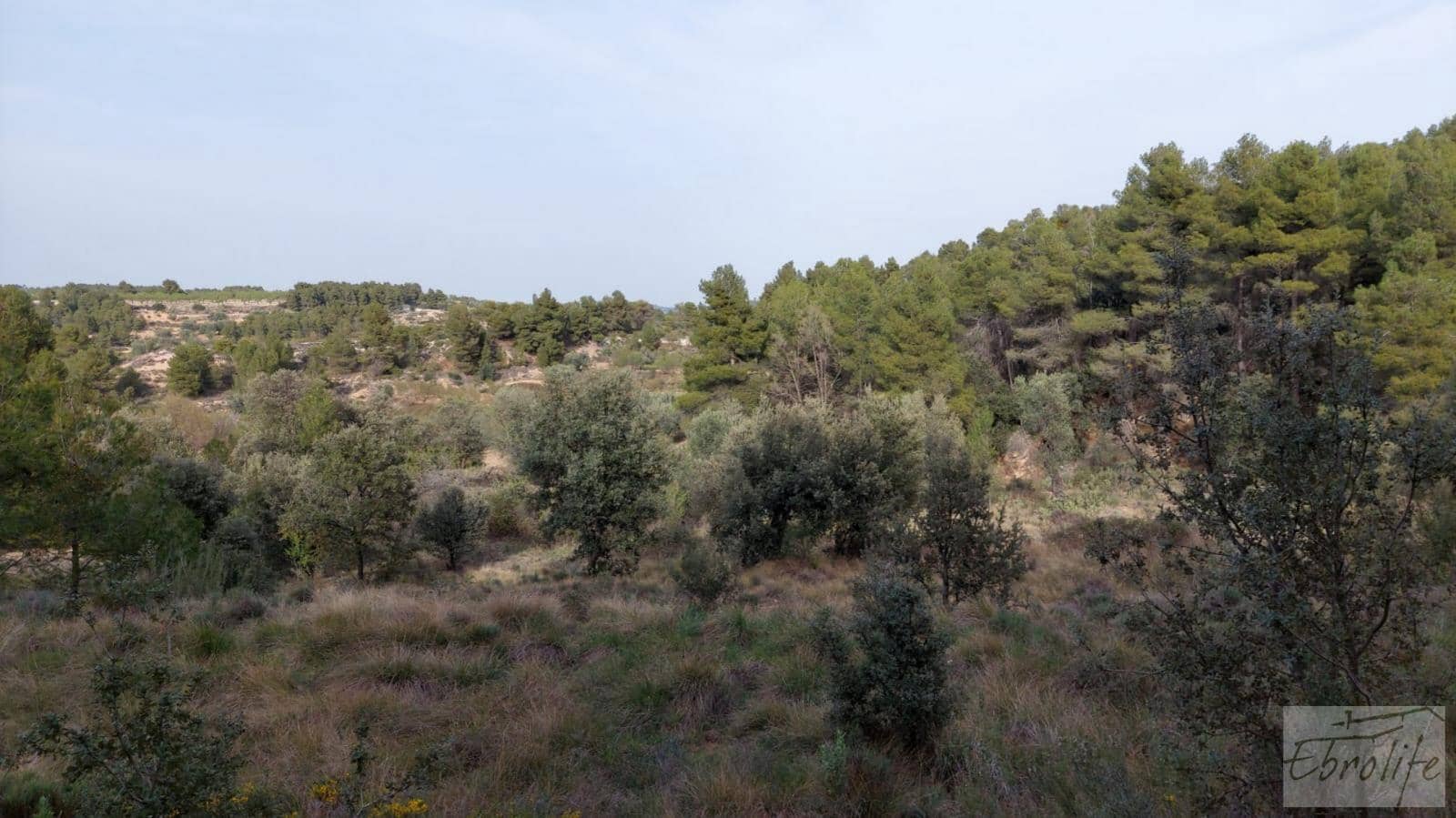 Finca/Landhuis te koop in Valderrobres - € 45.000 (Ref: 8190206)