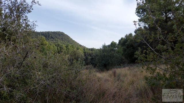 Finca/Landhuis te koop in Valderrobres - € 45.000 (Ref: 8190206)