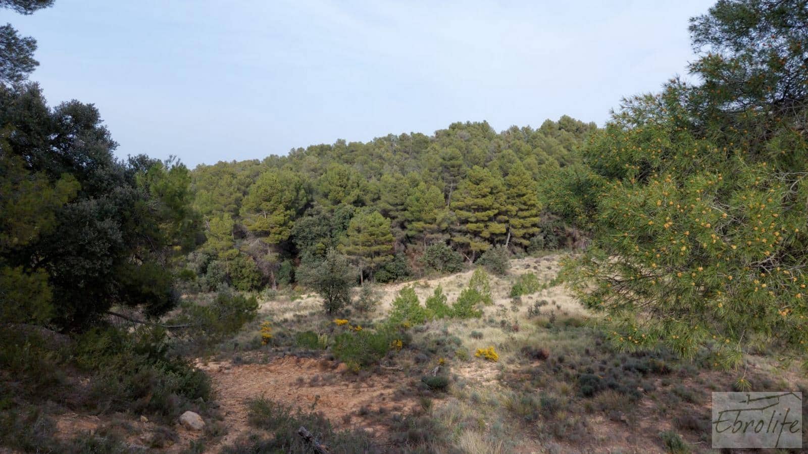 Finca/Landhuis te koop in Valderrobres - € 45.000 (Ref: 8190206)