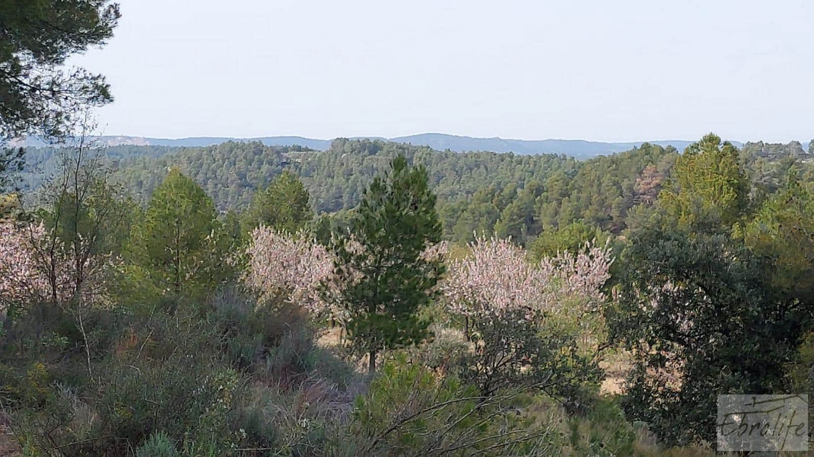 Finca/Landhuis te koop in Valderrobres - € 45.000 (Ref: 8190206)