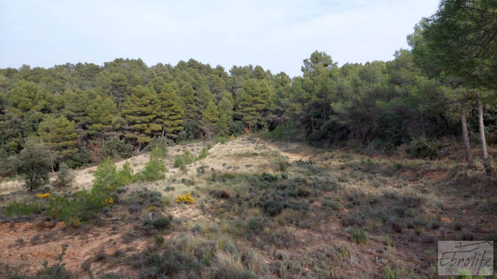 Finca/Landhuis te koop in Valderrobres - € 45.000 (Ref: 8190206)