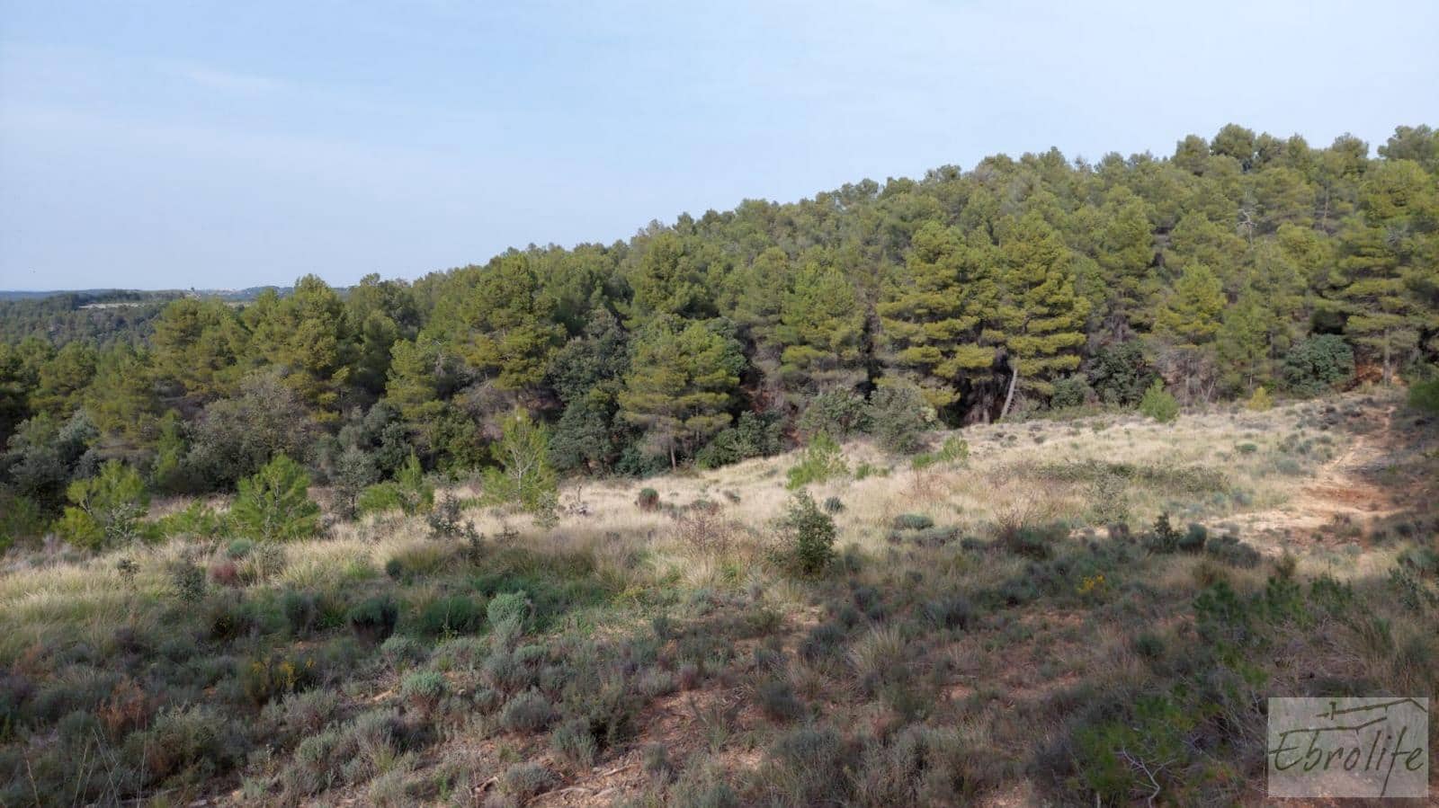 Finca/Landhuis te koop in Valderrobres - € 45.000 (Ref: 8190206)