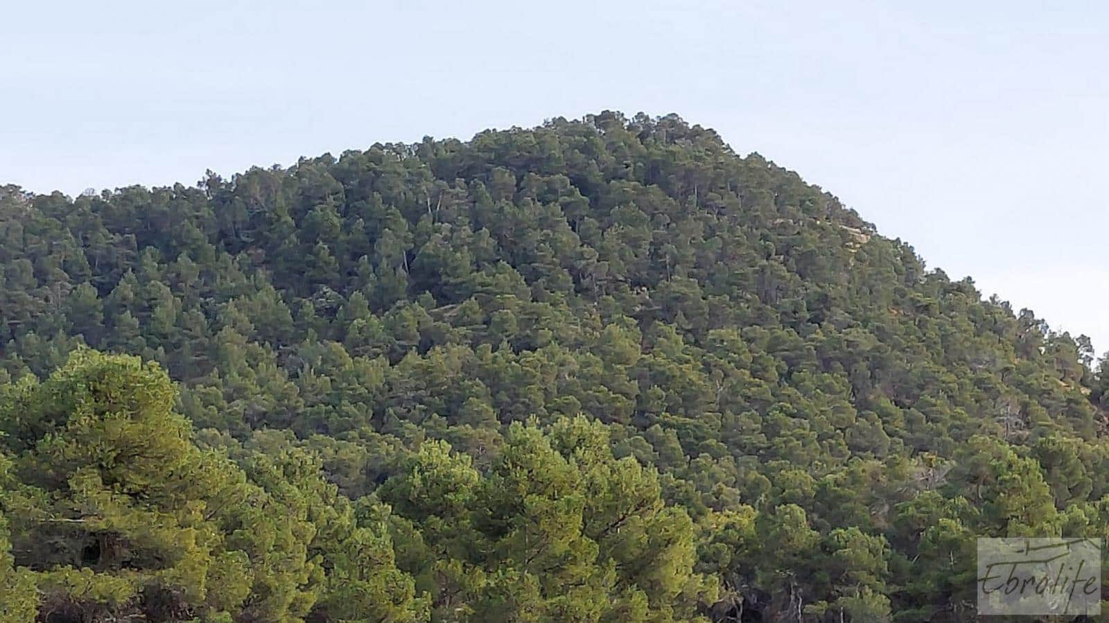 Finca/Landhuis te koop in Valderrobres - € 45.000 (Ref: 8190206)