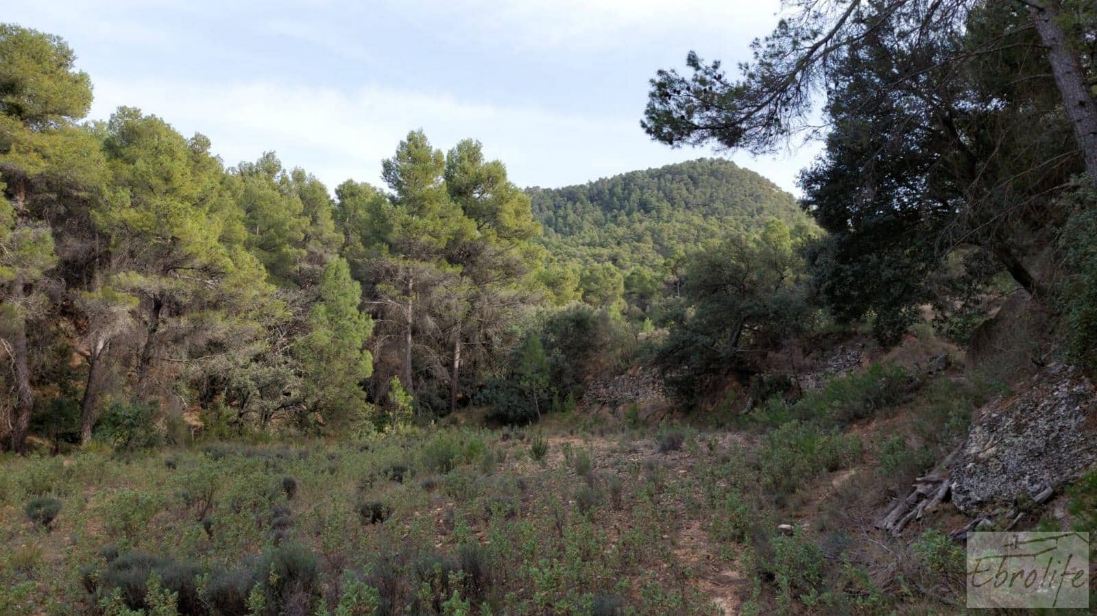 Finca/Landhuis te koop in Valderrobres - € 45.000 (Ref: 8190206)