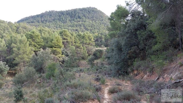 Finca/Landhuis te koop in Valderrobres - € 45.000 (Ref: 8190206)