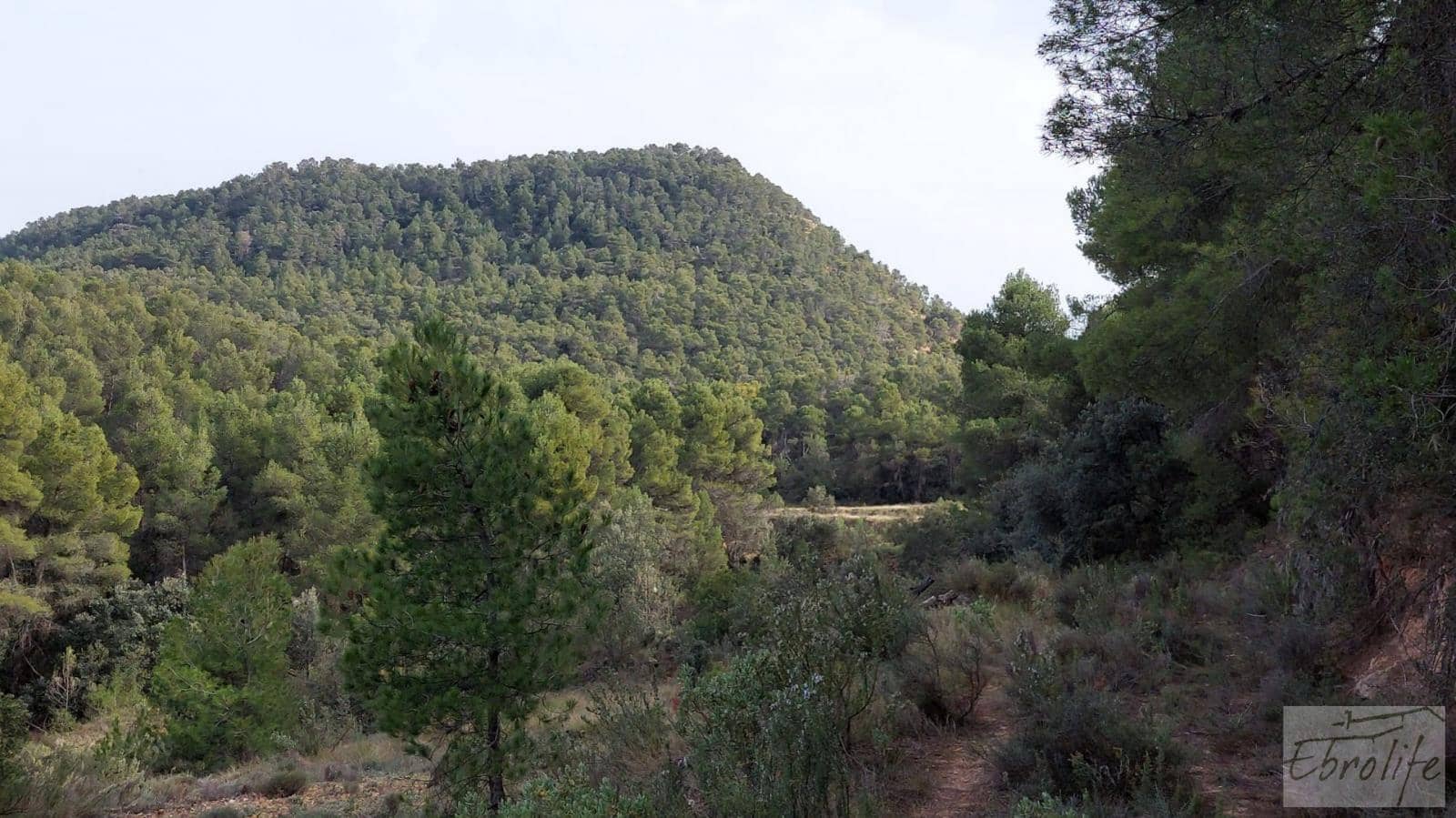 Finca/Landhuis te koop in Valderrobres - € 45.000 (Ref: 8190206)