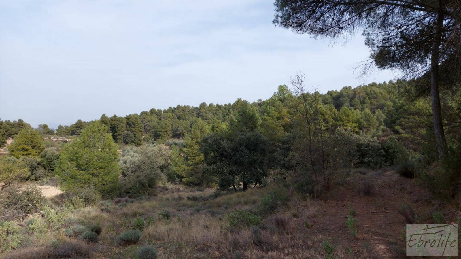 Finca/Landhuis te koop in Valderrobres - € 45.000 (Ref: 8190206)