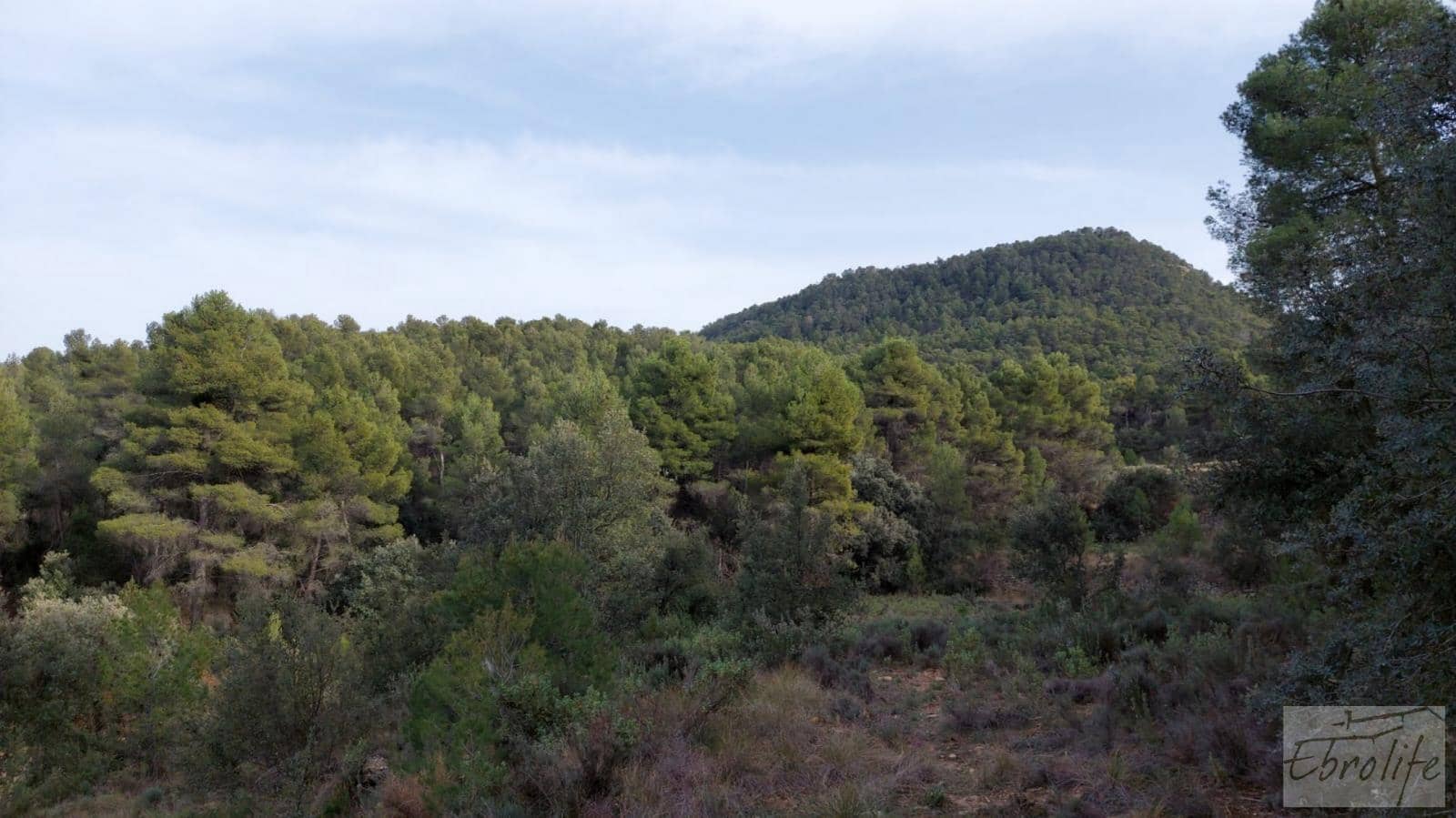 Finca/Landhuis te koop in Valderrobres - € 45.000 (Ref: 8190206)