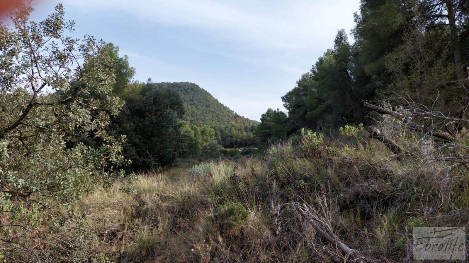 Finca/Landhuis te koop in Valderrobres - € 45.000 (Ref: 8190206)