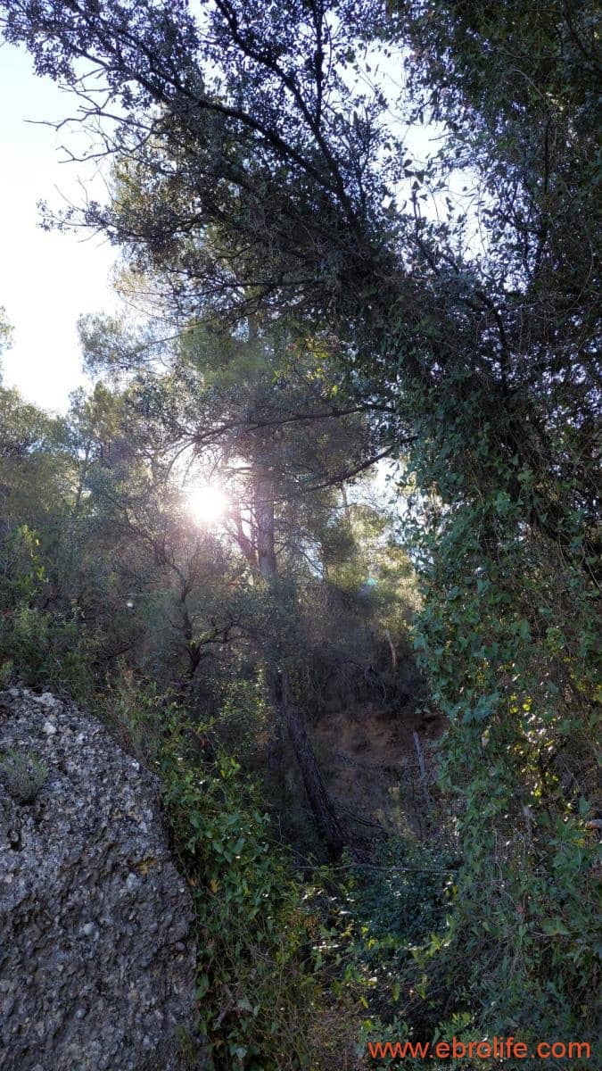 1 bedroom Finca/Country House for sale in Fuentespalda - € 47,000 (Ref: 8423712)