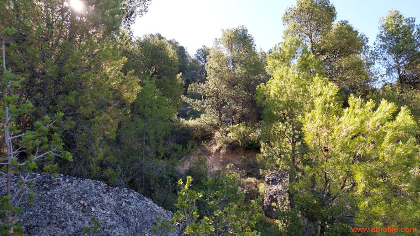 1 bedroom Finca/Country House for sale in Fuentespalda - € 47,000 (Ref: 8423712)