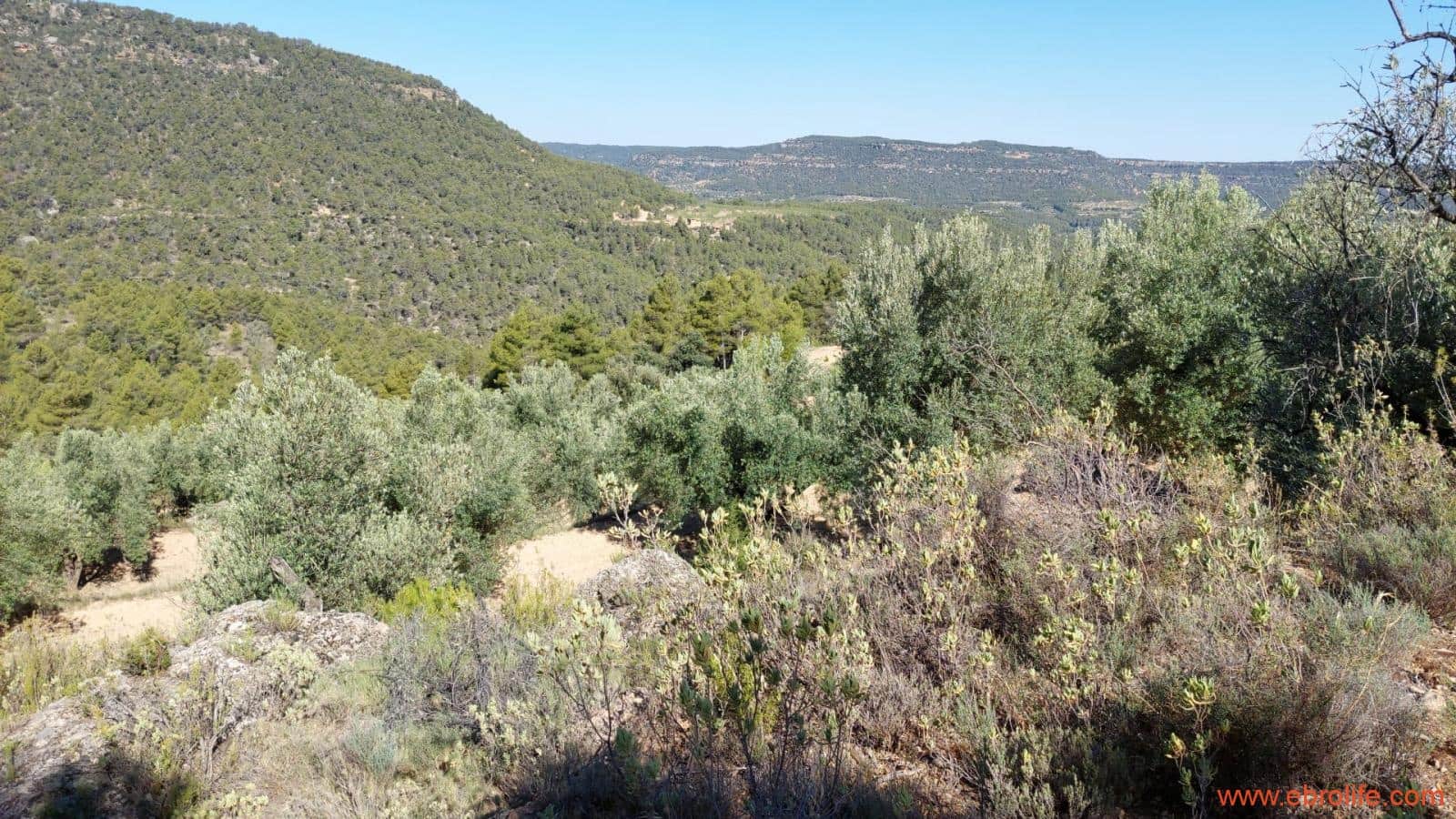 1 bedroom Finca/Country House for sale in Fuentespalda - € 47,000 (Ref: 8423712)