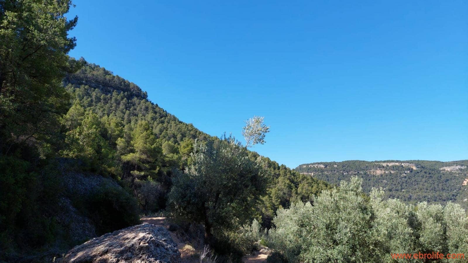 1 bedroom Finca/Country House for sale in Fuentespalda - € 47,000 (Ref: 8423712)