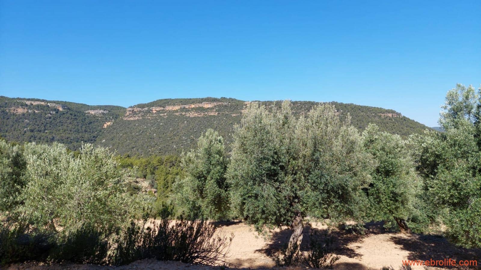 1 bedroom Finca/Country House for sale in Fuentespalda - € 47,000 (Ref: 8423712)