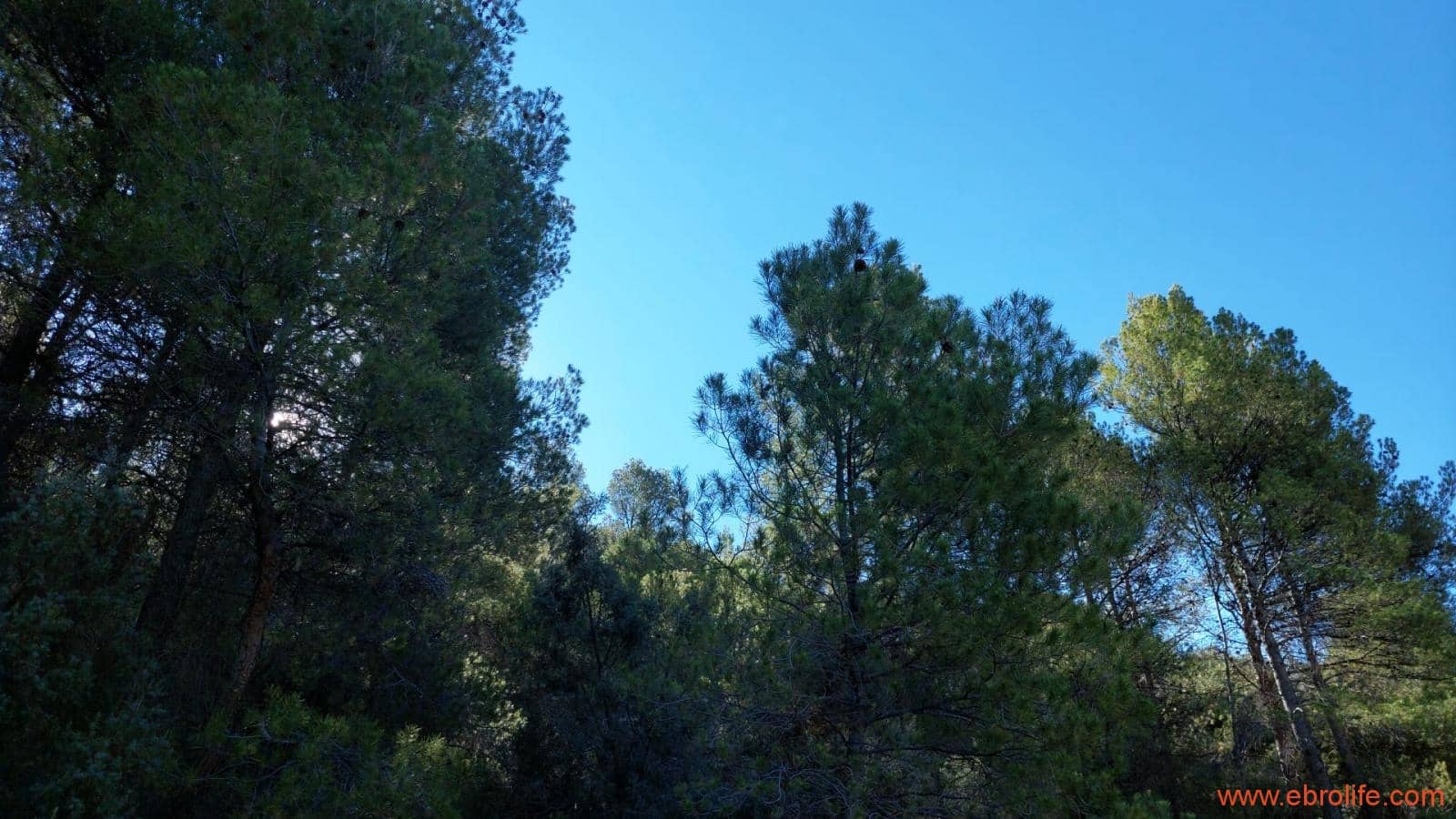 1 bedroom Finca/Country House for sale in Fuentespalda - € 47,000 (Ref: 8423712)