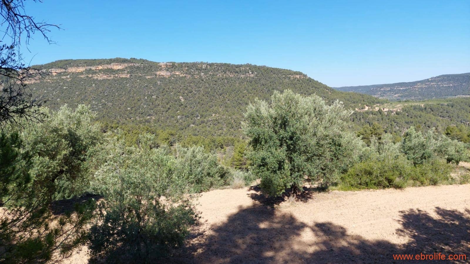 1 bedroom Finca/Country House for sale in Fuentespalda - € 47,000 (Ref: 8423712)