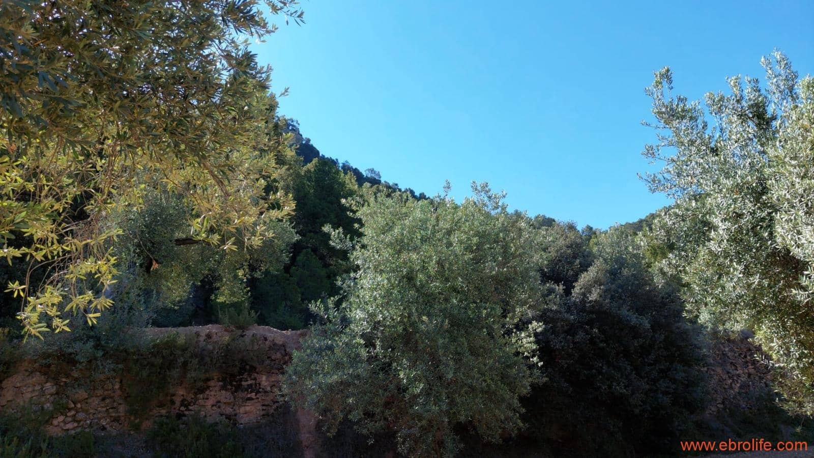 1 bedroom Finca/Country House for sale in Fuentespalda - € 47,000 (Ref: 8423712)