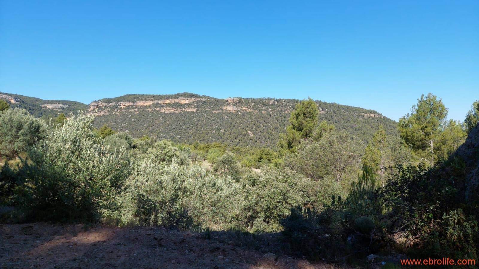 1 bedroom Finca/Country House for sale in Fuentespalda - € 47,000 (Ref: 8423712)