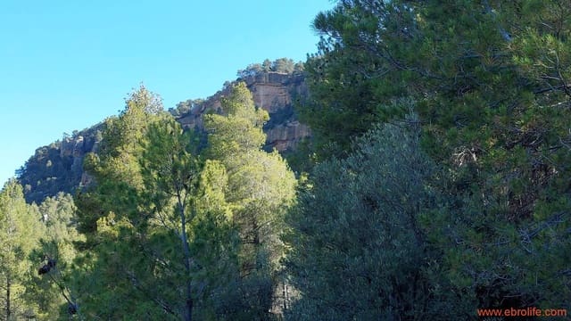 1 quarto Quinta/Casa Rural para venda em Fuentespalda - 47 000 € (Ref: 8423712)