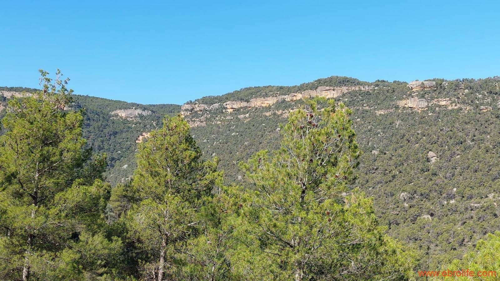 1 bedroom Finca/Country House for sale in Fuentespalda - € 47,000 (Ref: 8423712)