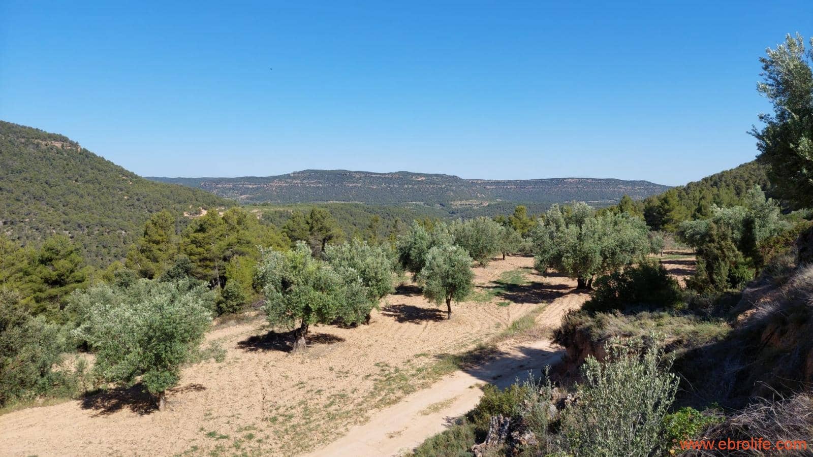 1 bedroom Finca/Country House for sale in Fuentespalda - € 47,000 (Ref: 8423712)