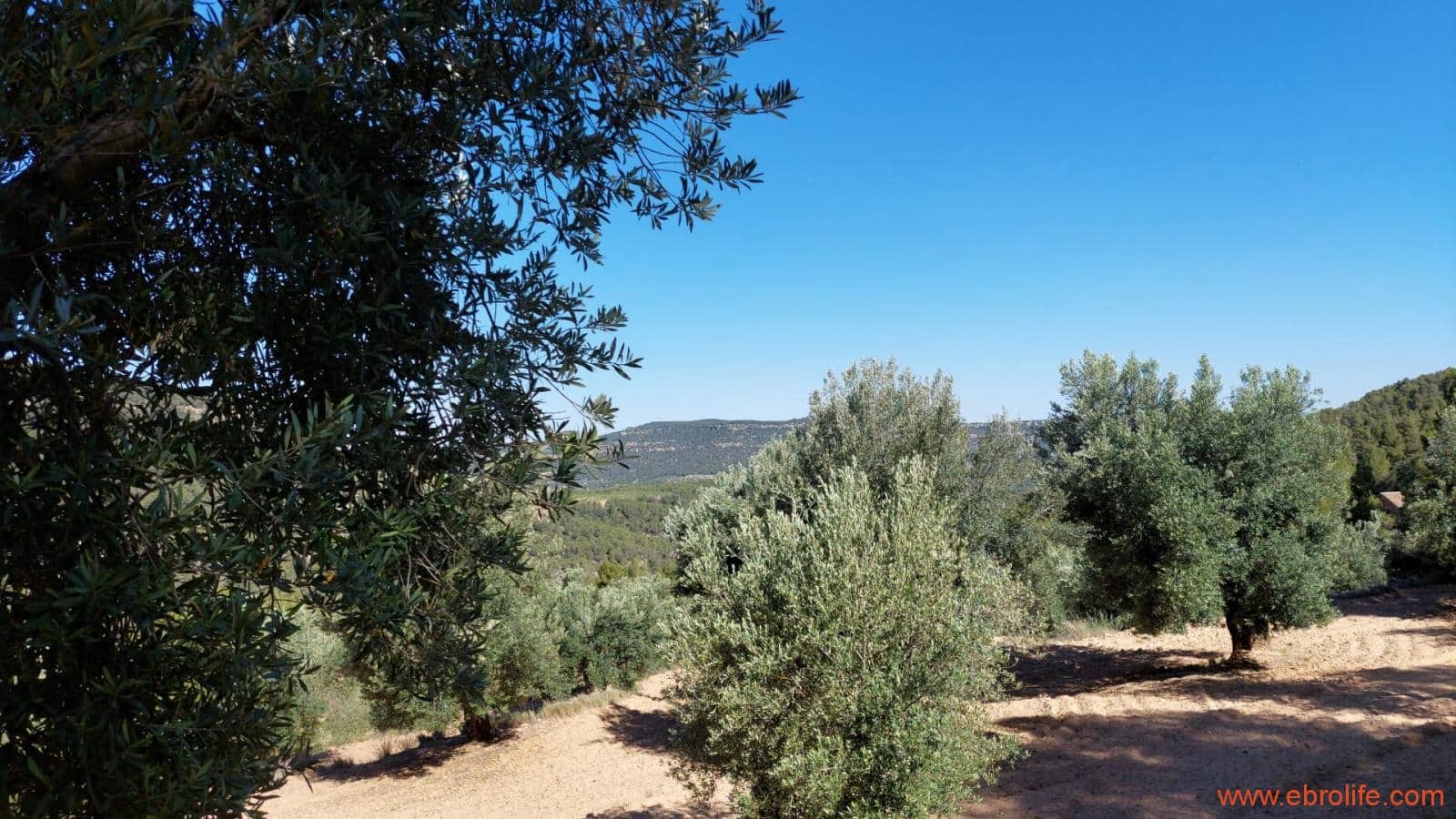 1 bedroom Finca/Country House for sale in Fuentespalda - € 47,000 (Ref: 8423712)