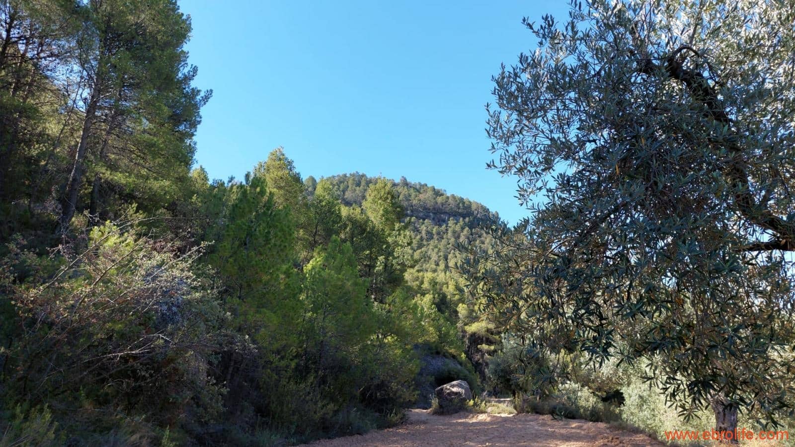 1 bedroom Finca/Country House for sale in Fuentespalda - € 47,000 (Ref: 8423712)