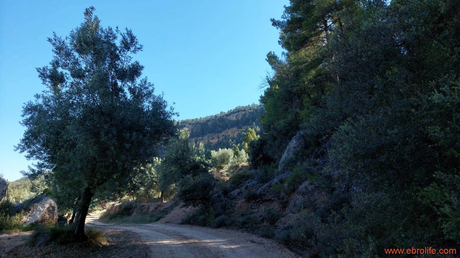 1 bedroom Finca/Country House for sale in Fuentespalda - € 47,000 (Ref: 8423712)